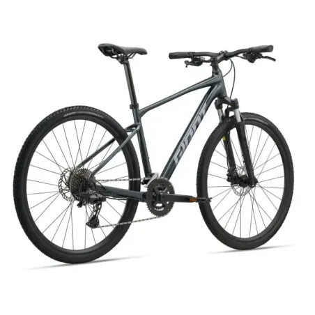 GIANT Roam 2 Bicycle, Asphalt Green (XL)