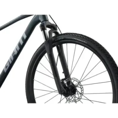 GIANT Roam 2 Bicycle, Asphalt Green (XL)