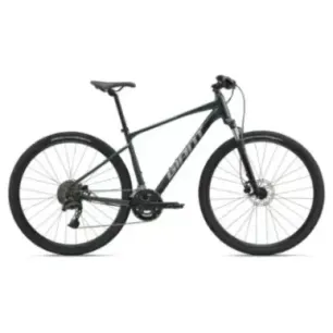 GIANT Roam 2 Bicycle, Asphalt Green (XL)