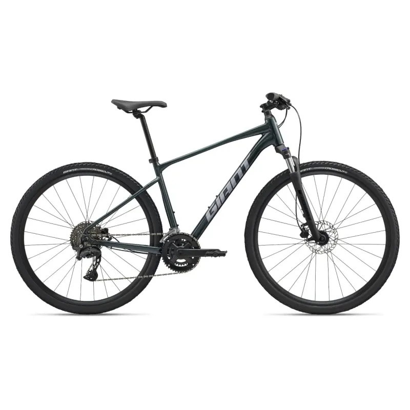 GIANT Roam 2 Bicycle, Asphalt Green (XL)