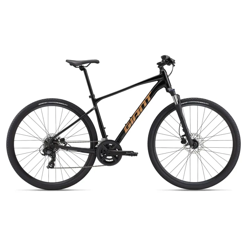 Bicycle GIANT Roam 4, Black (M)