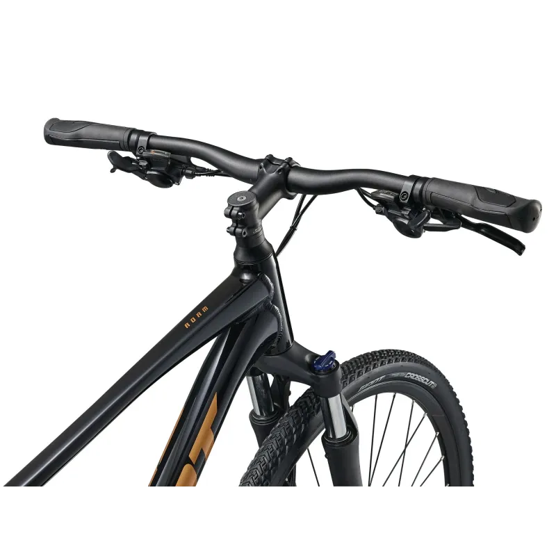 Bicycle GIANT Roam 4, Black (XL)