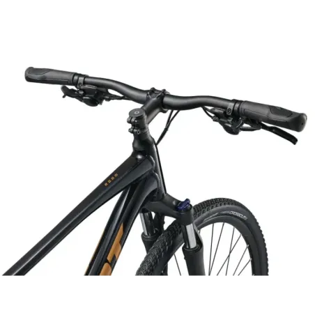 Bicycle GIANT Roam 4, Black (XL)