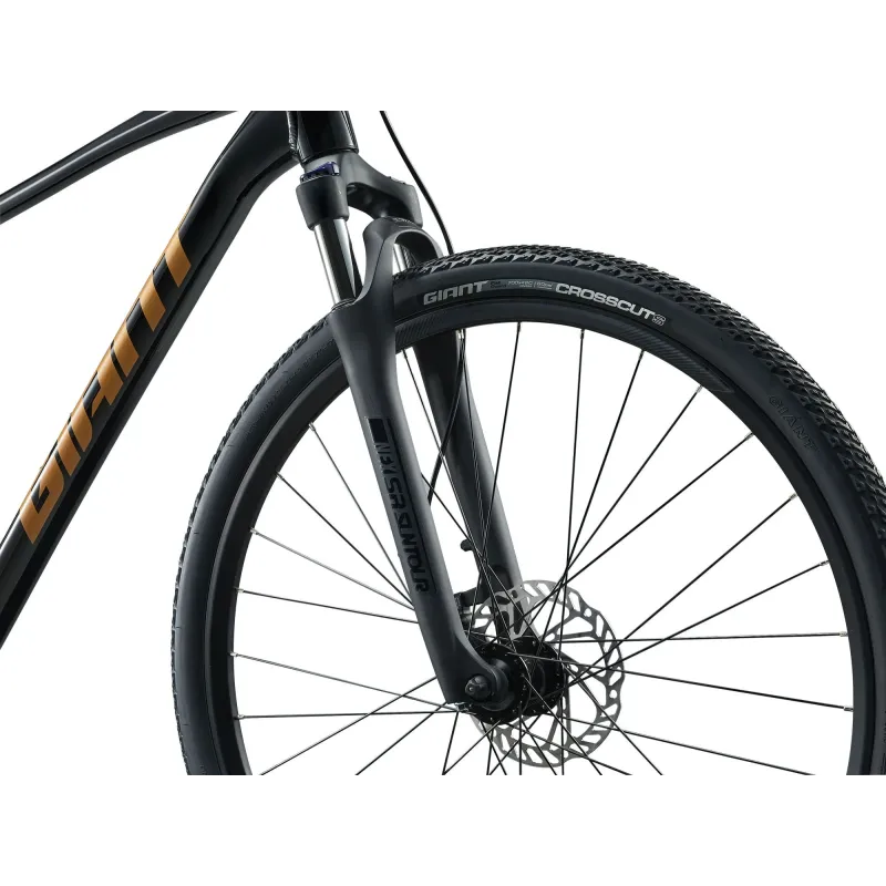 Bicycle GIANT Roam 4, Black (XL)
