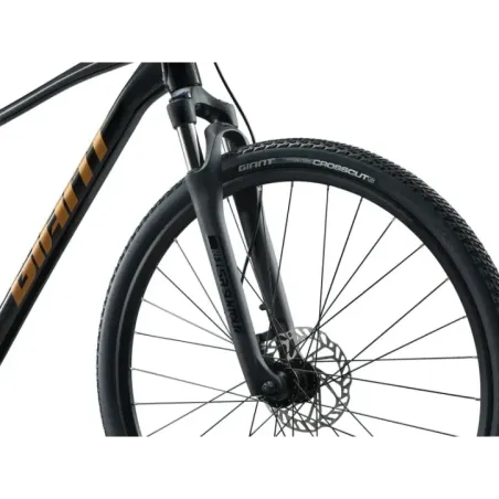 Bicycle GIANT Roam 4, Black (XL)