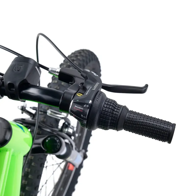 Children's bicycle S'COOL Xroc, 20" Neon Green/Ocean