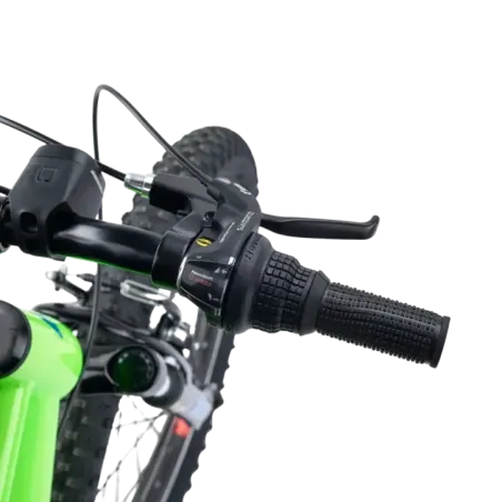 Children's bicycle S'COOL Xroc, 20" Neon Green/Ocean