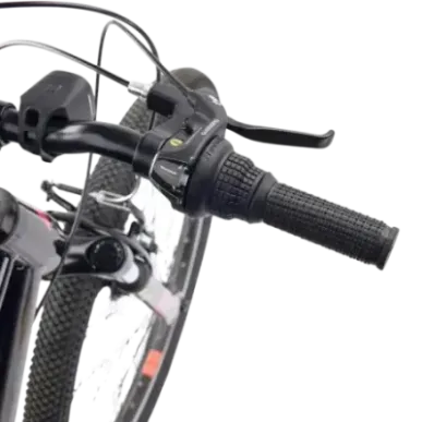 Children's bicycle S'COOL Xroc, 24" Oxid/Pink