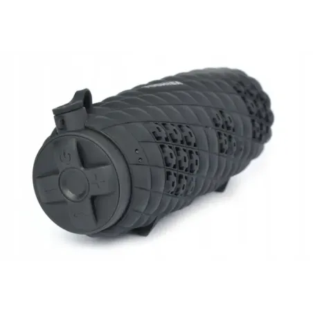 Toshiba Sonic Blast 2 TY-WSP80 black