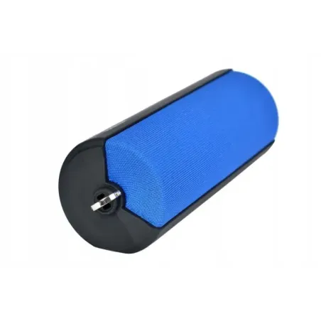 Toshiba Fab TY-WSP70 blue