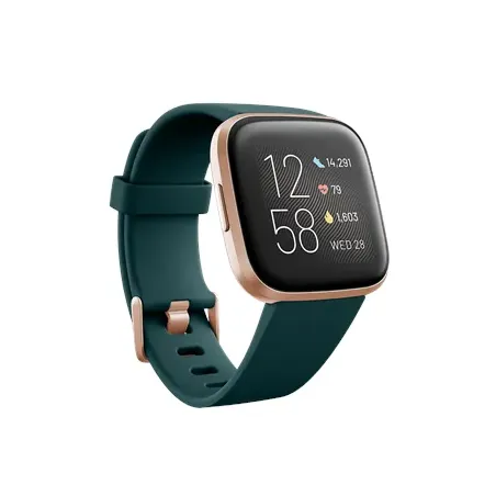 Versa 2 Smart watch NFC OLED Touchscreen Activity monitoring 24/7 Waterproof Bluetooth Wi-Fi |