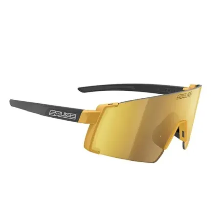 Salice 027RW glasses, gold