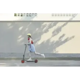 Segway electric scooter Zing C20