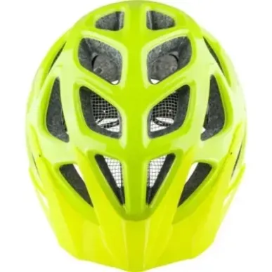 Alpina Mythos 3.0 LE bright green grey gloss