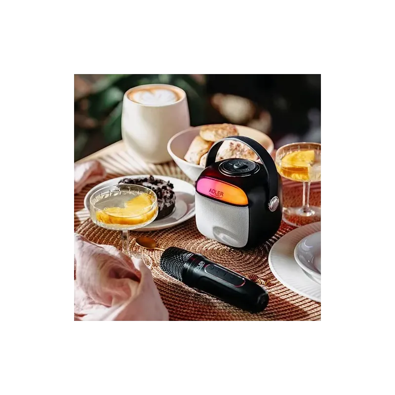 Adler AD 1199 black Karaoke speaker with microphone - SD/USB/AUX/Bluetooth