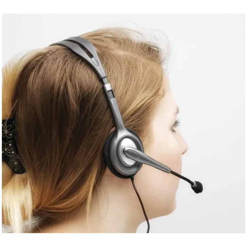 Logitech H110 Stereo Headset