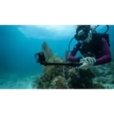 GoPro HERO13 BLACK action sports camera 27.6 MP 5.3K Ultra HD CMOS 25.4 / 1.9 mm (1 / 1.9&quot) Wi-Fi 121 g